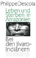 bokomslag Leben und Sterben in Amazonien