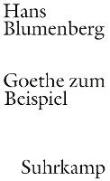 bokomslag Goethe zum Beispiel