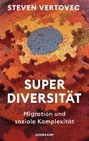 bokomslag Superdiversität