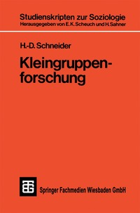 bokomslag Kleingruppenforschung