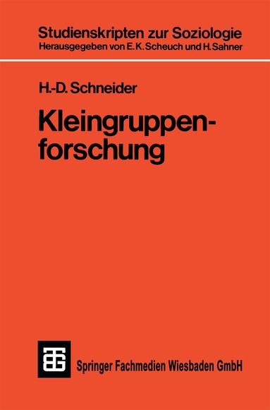 H. -D. Schneider - Kleingruppenforschung, Häftad