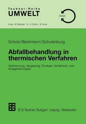 bokomslag Abfallbehandlung in thermischen Verfahren