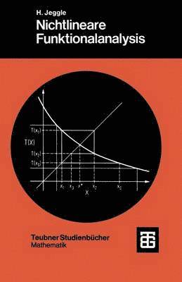 Nichtlineare Funktionalanalysis, Häftad