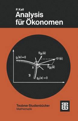 Analysis für Ökonomen, Häftad