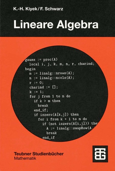 Karl-Heinz Kiyek, Friedrich Schwarz - Lineare Algebra, Häftad