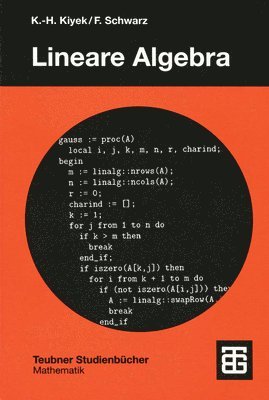 Karl-Heinz Kiyek, Friedrich Schwarz - Lineare Algebra, Häftad