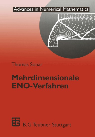 Mehrdimensionale ENO-Verfahren, Häftad