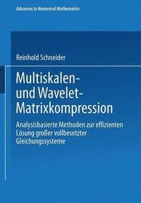 bokomslag Multiskalen- und Wavelet-Matrixkompression