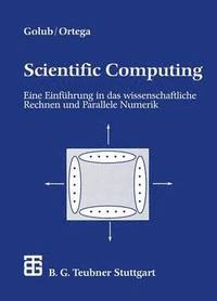 bokomslag Scientific Computing