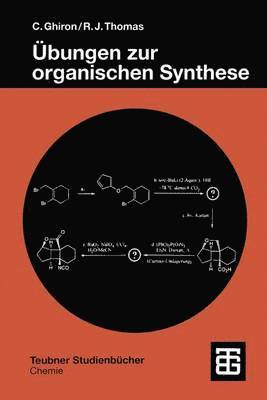 bokomslag Übungen zur organischen Synthese