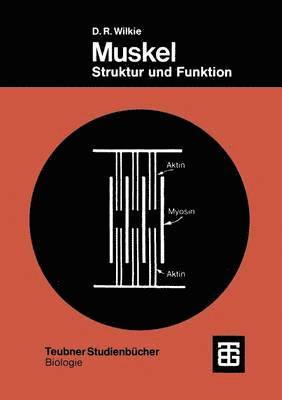 Muskel 1