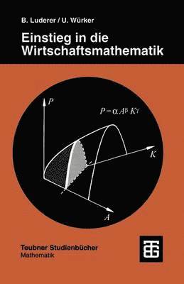 bokomslag Einstieg in die Wirtschaftsmathematik