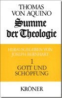 bokomslag Summe der Theologie I. Gott und Schöpfung