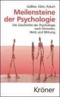 bokomslag Meilensteine der Psychologie