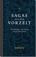 bokomslag Sagas aus der Vorzeit - Band 2: Wikingersagas
