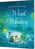 bokomslag Der Wind in den Weiden