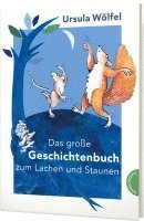 bokomslag Das große Geschichtenbuch zum Lachen und Staunen