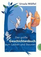 Das große Geschichtenbuch zum Lachen und Staunen