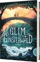 bokomslag Glim aus dem Ginsterwald
