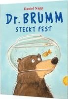 bokomslag Dr. Brumm steckt fest