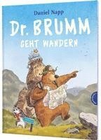 bokomslag Dr. Brumm geht wandern