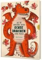 bokomslag Was für unfassbare Sachen echte Drachen gerne machen