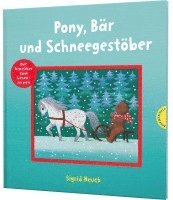 bokomslag Pony, Bär und Schneegestöber