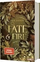 bokomslag Die Nordlicht-Saga 1: Fate and Fire