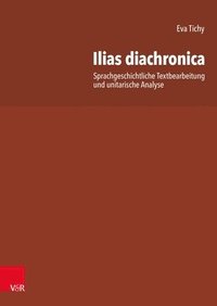 bokomslag Ilias diachronica