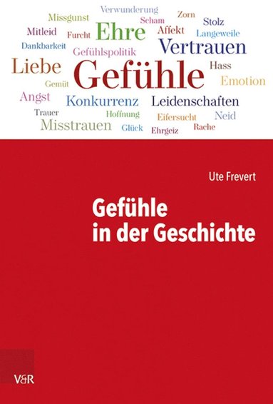 bokomslag Gefuhle in der Geschichte