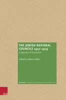 bokomslag The Jewish National Councils 1917-1919: A Selection of Documents