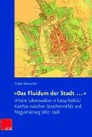 Frank Henschel - Das Fluidum Der Stadt ...: Urbane Lebenswelten in Kassa/Kosice/Kaschau Zwischen Sprachenvielfalt Und Magyarisierung 1867-1918, Inbunden
