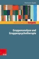 bokomslag Gruppenanalyse und Gruppenpsychotherapie
