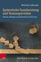 bokomslag Systemische Teamberatung und Teamsupervision