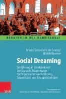 bokomslag Social Dreaming