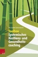 bokomslag Toolbox Systemisches Resilienz- und Gesundheitscoaching
