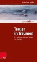 bokomslag Trauer in Traumen: Traumbilder Konnen Helfen Und Heilen