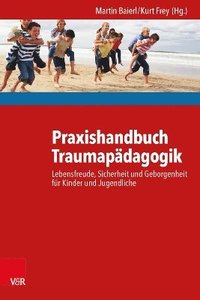 bokomslag Praxishandbuch Traumapdagogik