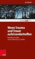 bokomslag Wenn Trauma Und Trauer Aufeinandertreffen: Betroffenen Helfen, Neuen Lebensmut Zu Finden