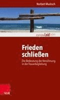 bokomslag Frieden schließen