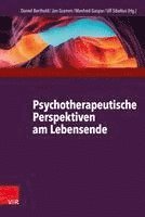 bokomslag Psychotherapeutische Perspektiven am Lebensende
