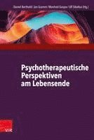 bokomslag Psychotherapeutische Perspektiven Am Lebensende