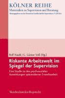 Rolf Haubl, G. Gunter Voss - Riskante Arbeitswelt Im Spiegel Der Supervision, Häftad