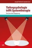 bokomslag Tiefenpsychologie trifft Systemtherapie