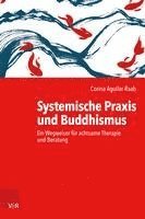 bokomslag Systemische Praxis und Buddhismus