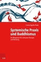 Corina Aguilar-Raab - Systemische Praxis und Buddhismus, Häftad