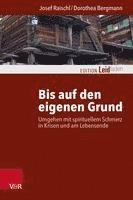 Josef Raischl, Dorothea Bergmann - Bis auf den eigenen Grund, Häftad