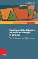 bokomslag Psychodynamische Therapien Und Verhaltenstherapie Im Vergleich: Zentrale Konzepte Und Wirkprinzipien