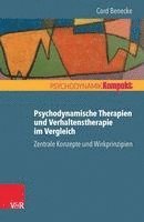 Cord Benecke - Psychodynamische Therapien Und Verhaltenstherapie Im Vergleich, Häftad