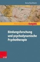 bokomslag Bindungsforschung Und Psychodynamische Psychotherapie